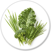 Super Greens Alkalizing Blend Super Greens Alkalizing Blend