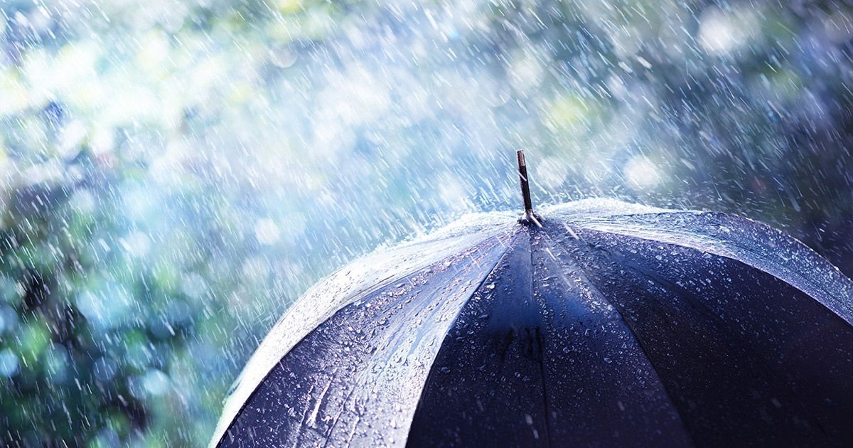 Microplastics in Rainwater microplastics in rainwater