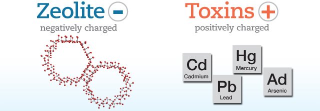 Zeolite is Negatively-Charged