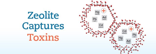 Zeolite Captures Toxins